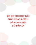 Bộ đề thi học kì 2 môn Toán lớp 11 năm 2022-2023 có đáp án