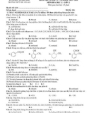 Đề thi học kì 2 môn Hóa học lớp 11 năm 2023-2024 - Trường THPT Chu Văn An, Quảng Nam