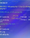 Bài giảng điện tử môn sinh học: Ảnh hưởng của điều kiện bên ngoài đến quang hợp