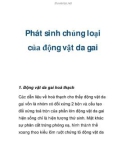 Phát sinh chủng loại của động vật da gai