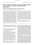 Báo cáo khoa học: Factors involved in the assembly of a functional molybdopyranopterin center in recombinant Comamonas acidovorans xanthine dehydrogenase