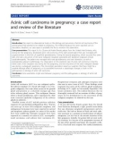 Báo cáo y học: Acinic cell carcinoma in pregnancy: a case report and review of the literature