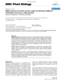 báo cáo khoa học: DNA sequence diversity and the origin of cultivated safflower (Carthamus tinctorius L.; Asteraceae)