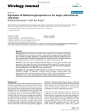 Báo cáo y học: Expression of Ebolavirus glycoprotein on the target cells enhances viral entry