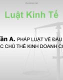 Bài giảng Luật kinh tế: Chương 1 và 2 - Pháp luật về đầu tư. Pháp luật về doanh nghiệp