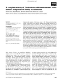 Báo cáo khoa học: A complete survey of Trichoderma chitinases reveals three distinct subgroups of family 18 chitinases