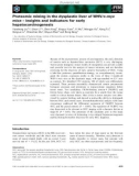 Báo cáo khoa học: Proteomic mining in the dysplastic liver of WHV⁄c-myc mice – insights and indicators for early hepatocarcinogenesis