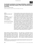 Báo cáo khoa học: A potential mechanism of energy-metabolism oscillation in an aerobic chemostat culture of the yeast Saccharomyces cerevisiae