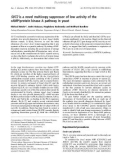 Báo cáo khóa học: SUT2 is a novel multicopy suppressor of low activity of the cAMP/protein kinase A pathway in yeast