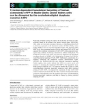 Báo cáo khoa học: Tyrosine-dependent basolateral targeting of human connexin43–eYFP in Madin–Darby canine kidney cells can be disrupted by the oculodentodigital dysplasia mutation L90V