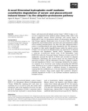 Báo cáo khoa học: A novel N-terminal hydrophobic motif mediates constitutive degradation of serum- and glucocorticoidinduced kinase-1 by the ubiquitin–proteasome pathway