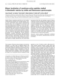 Báo cáo khoa học: Bilayer localization of membrane-active peptides studied in biomimetic vesicles by visible and ﬂuorescence spectroscopies