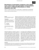 Báo cáo khoa học: Recruitment of transcription complexes to the b-globin locus control region and transcription of hypersensitive site 3 prior to erythroid differentiation of murine embryonic stem cells