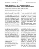 Báo cáo khoa học: Unusual ﬂuorescence of W168 in Plasmodium falciparum triosephosphate isomerase, probed by single-tryptophan mutants