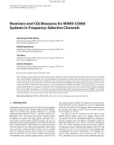 Báo cáo hóa học: Receivers and CQI Measures for MIMO-CDMA Systems in Frequency-Selective Channels