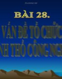 Giáo án điện tử môn Địa Lý: Bài 28 địa lý việt nam