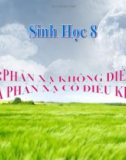 Bài giảng Sinh học 8 bài 52: Phản xạ có điều kiện và phản xạ không có điều kiện