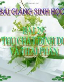 Bài giảng Sinh học 8 bài 29: Hấp thụ chất dinh dưỡng và thải phân