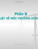 Bài giảng Luật kinh tế: Chương 4 - Pháp luật về thương mại