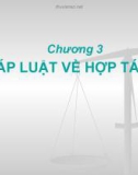 Bài giảng Luật kinh tế: Chương 3 - Pháp luật về hợp tác xã