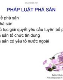 Bài giảng Pháp luật phá sản