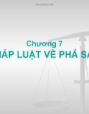 Bài giảng Luật kinh tế: Chương 7 - Pháp luật về phá sản