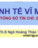 Bài giảng Kinh tế vĩ mô: Chương 0 - Th.S Ngô Hoàng Thảo Trang