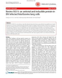 Báo cáo y học: Bovine ISG15: an antiviral and inducible protein in BIV infected fetal bovine lung cells