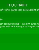 Bài thực hành quan sát các dạng đột biến