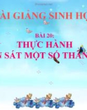 Bài giảng Sinh học 7 bài 20: Thực hành quan sát một số thân mềm