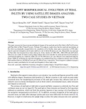 Sand spit morphological evolution at tidal inlets by using satellite images analysis: Two case studies in Vietnam