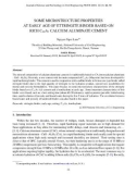 Some microstructure properties at early age of ettringite binder based on rich C12A7 calcium aluminate cement