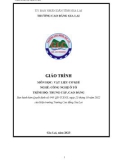 Giáo trình Vật liệu cơ khí (Nghề: Công nghệ ô tô - Cao đẳng, Trung cấp) - Trường Cao đẳng Gia Lai