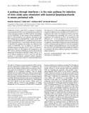 Báo cáo khoa học: A pathway through interferon-c is the main pathway for induction of nitric oxide upon stimulation with bacterial lipopolysaccharide in mouse peritoneal cells