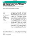 Báo cáo khoa hoc : Matrix metalloproteinase proteolysis of the mycobacterial HSP65 protein as a potential source of immunogenic peptides in human tuberculosis