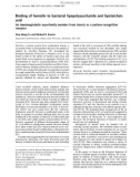 Báo cáo khoa học: Binding of hemolin to bacterial lipopolysaccharide and lipoteichoic acid An immunoglobulin superfamily member from insects as a pattern-recognition receptor