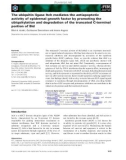 Báo cáo khoa học: The ubiquitin ligase Itch mediates the antiapoptotic activity of epidermal growth factor by promoting the ubiquitylation and degradation of the truncated C-terminal portion of Bid