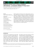 Báo cáo khoa học: Epidermal growth factor receptor-regulated miR-125a-5p – a metastatic inhibitor of lung cancer