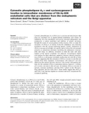 Báo cáo khoa học: Cytosolic phospholipase A2-a and cyclooxygenase-2 localize to intracellular membranes of EA.hy.926 endothelial cells that are distinct from the endoplasmic reticulum and the Golgi apparatus