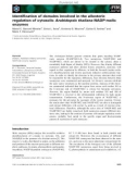 Báo cáo khoa học: Identiﬁcation of domains involved in the allosteric regulation of cytosolic Arabidopsis thaliana NADP-malic enzymes