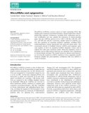 Báo cáo khoa học: MicroRNAs and epigenetics