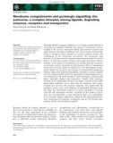 Báo cáo khoa học: Membrane compartments and purinergic signalling: the purinome, a complex interplay among ligands, degrading enzymes, receptors and transporters