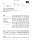 Báo cáo khoa học: Constitutive expression of the human peroxiredoxin V gene contributes to protection of the genome from oxidative DNA lesions and to suppression of transcription of noncoding DNA