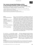 Báo cáo khoa học: The common phospholipid-binding activity of the N-terminal domains of PEX1 and VCP/p97