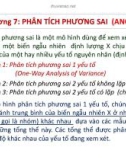 Bài giảng Xác suất thống kê: Chương 7 - Nguyễn Kiều Dung