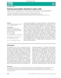 Báo cáo khoa hoc : Calcium-permeable channels in plant cells