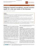 Báo cáo khoa học: Malignant inguinal monophasic synovial sarcoma: report of a case and review of the literature