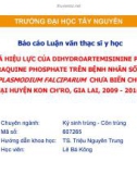 Luận văn thạc sĩ Y học: Đánh giá hiệu lực của dihydroartemisinine phối hợp piperaquine phosphate trên bệnh nhân sốt rét do plasmodium falciparum chưa biến chứng tại huyện Kon Ch'ro tỉnh Gia Lai năm 2009-2010