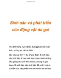 Sinh sản và phát triển của động vật da gai