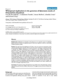 Báo cáo y học: Widespread duplications in the genomes of laboratory stocks of Dictyostelium discoideu